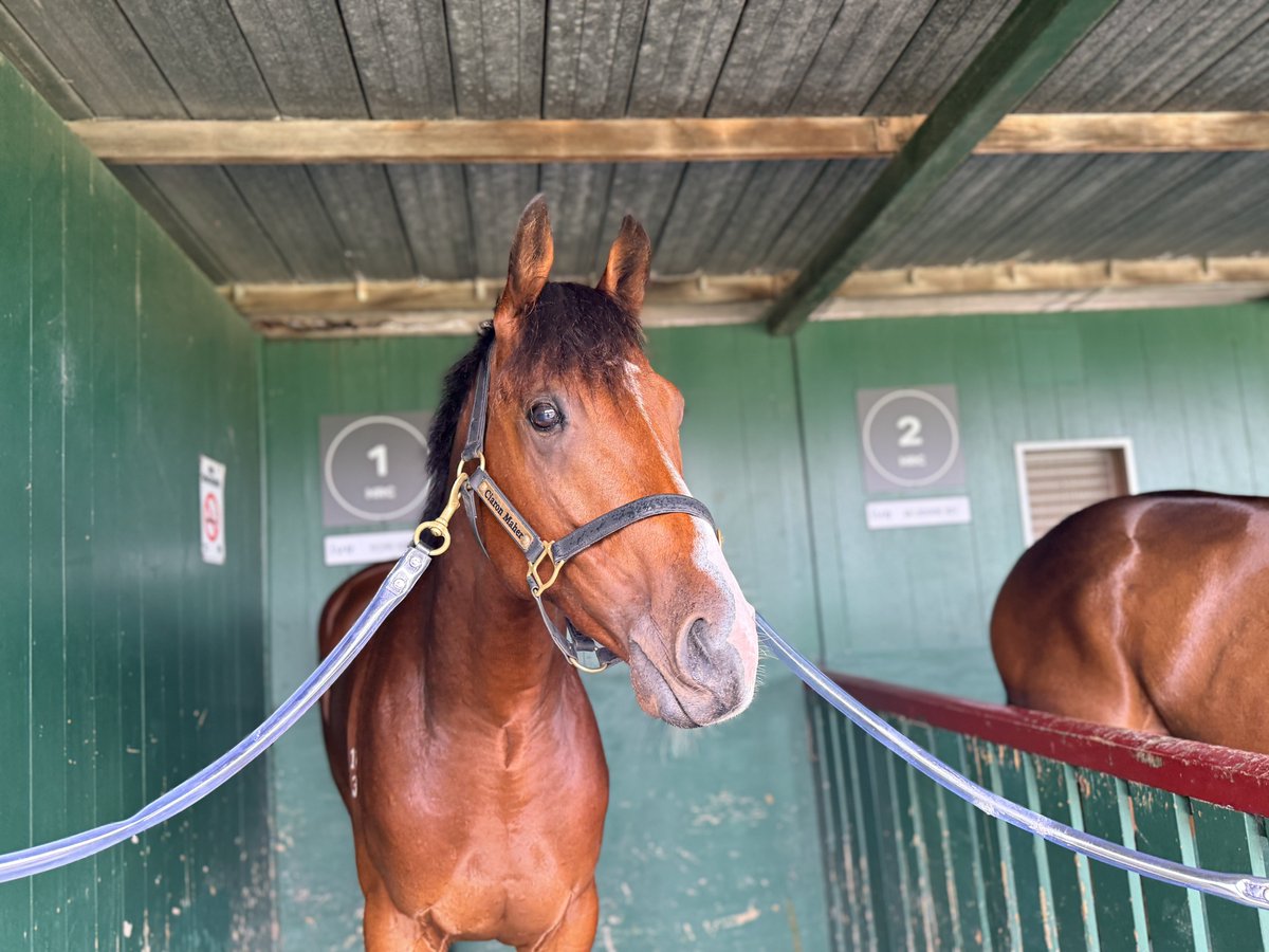 Rising Sun Syndicate🇯🇵 tweet media