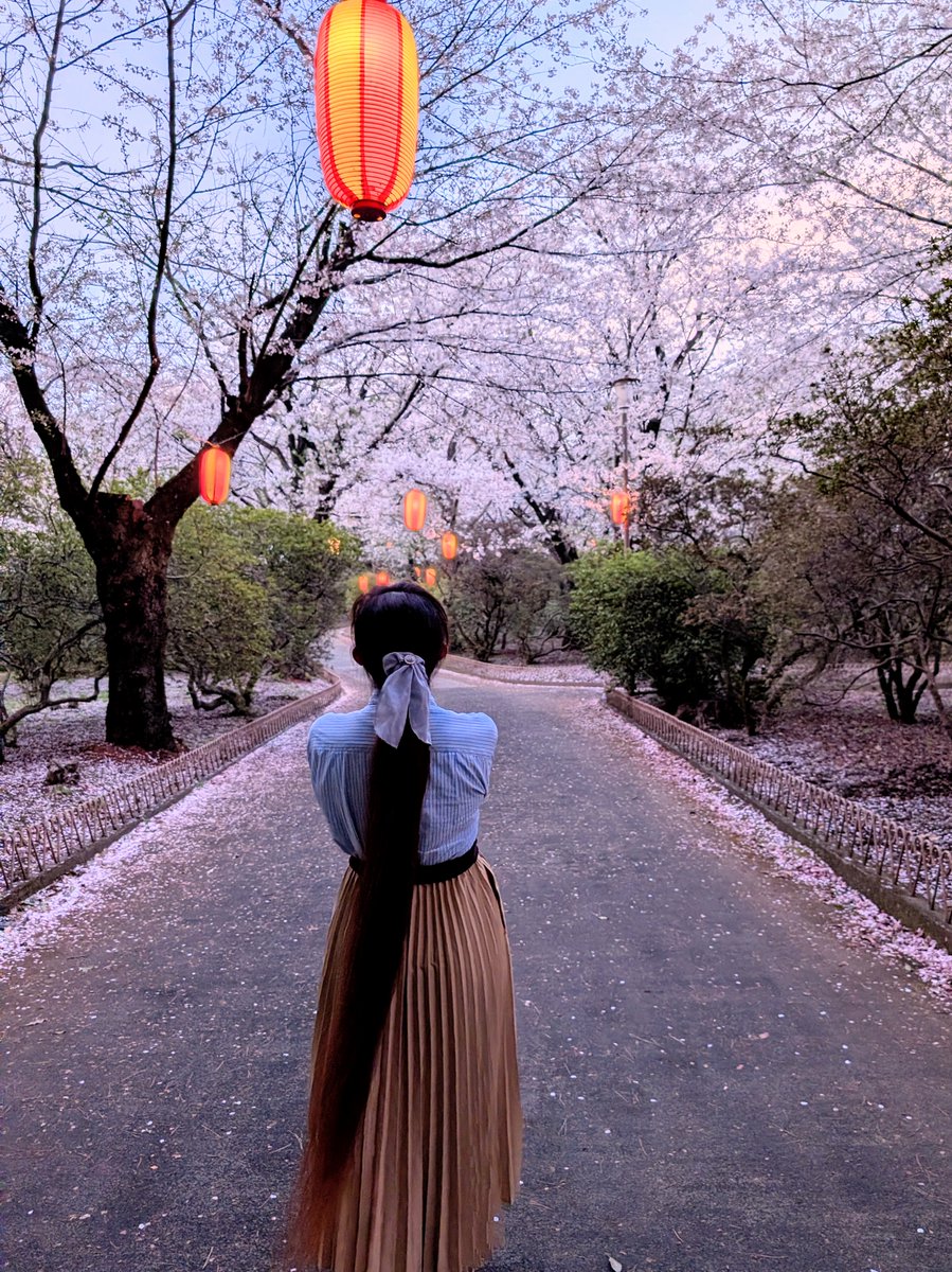 miaka@髪長BBA tweet media