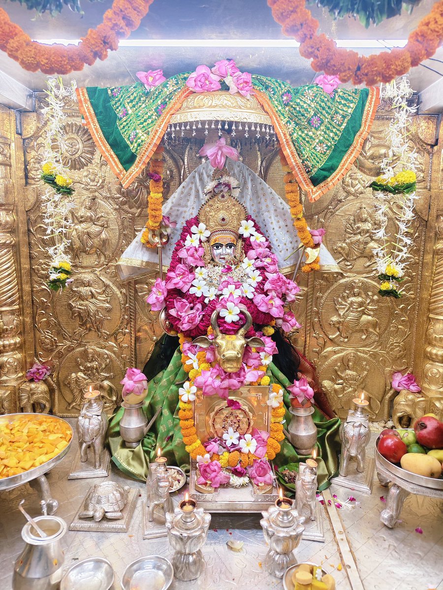 डॉक्टर साहब tweet media