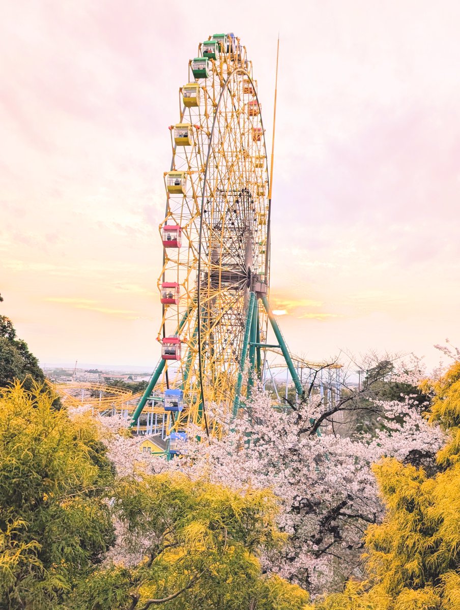 miaka@髪長BBA tweet media