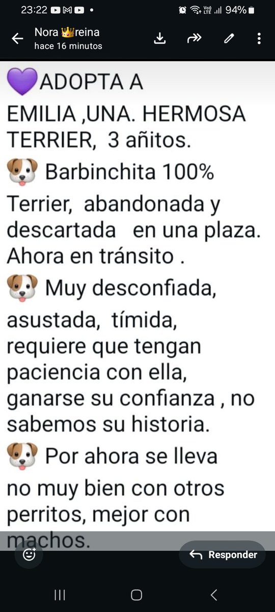 Hermosa barbinchota abandonada.  Se busca una familia que la ame de verdad.  Lean x favor y difundan. Grax
<a href="/AbrilGo93588411/">Abril Gomez</a> 
<a href="/AlmasDeLaCalle/">Almas De La Calle</a> 
<a href="/polaco_adrian/">Adrián Kolszyc</a> 
<a href="/Bichuok1/">Bichu ok🐶🐱🌷🍀☀️(ex Sandri ok)</a> 
<a href="/caticoron/">Catherine</a> 
<a href="/patri_carolyn/">Patri Carolyn 🌷❤️</a> 
<a href="/existenciala/">Victoria</a> 
<a href="/ThelmaRadio/">Thelma</a> 
<a href="/Tabyta201/">@Tabyta52/20🇦🇷🇪🇦🇺🇦🇮🇱💙💙💙</a> 
<a href="/MarianoOses/">Mariano Osés Martelli</a> 
<a href="/Moni78398296/">ayudo a los sin voz🐶🐱</a> 
<a href="/Debbuc2/">Debbuc</a>
