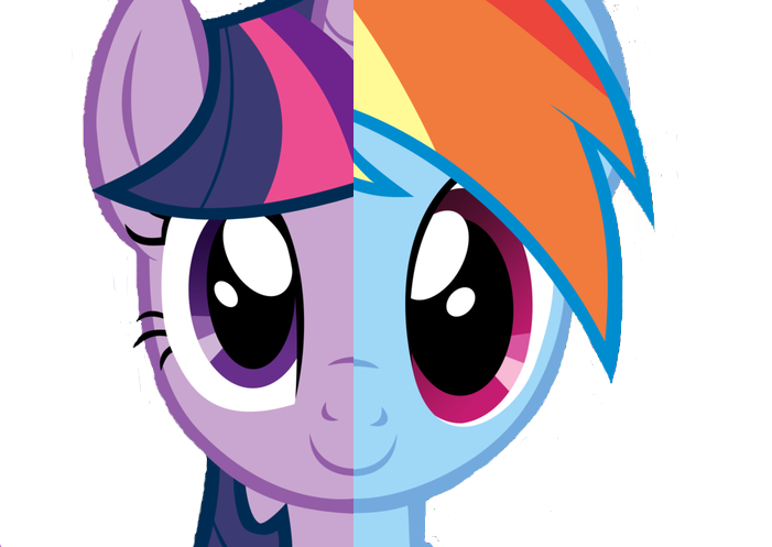 Rainbow Dash Photos tweet media