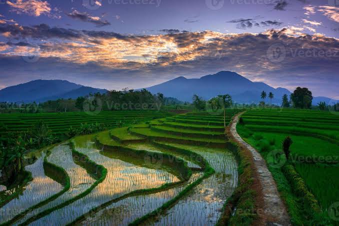 Asslam walikum ❤️💖 
Good morning 🌞💤 

Happiness is not a destination,
It is a way of life 😄