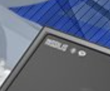 NIKKEぺでぃあ tweet media