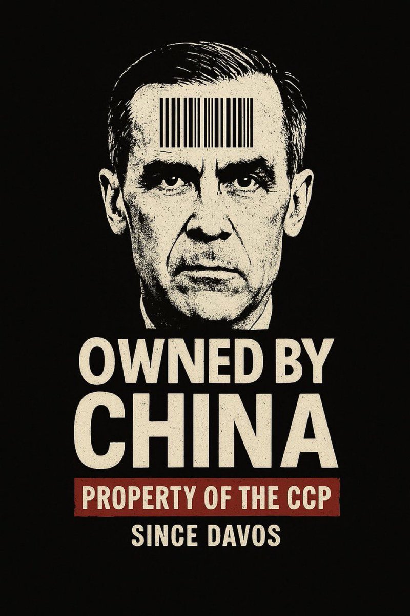 Matt Alexander tweet media