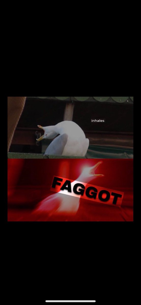 Reece do plumb tweet media