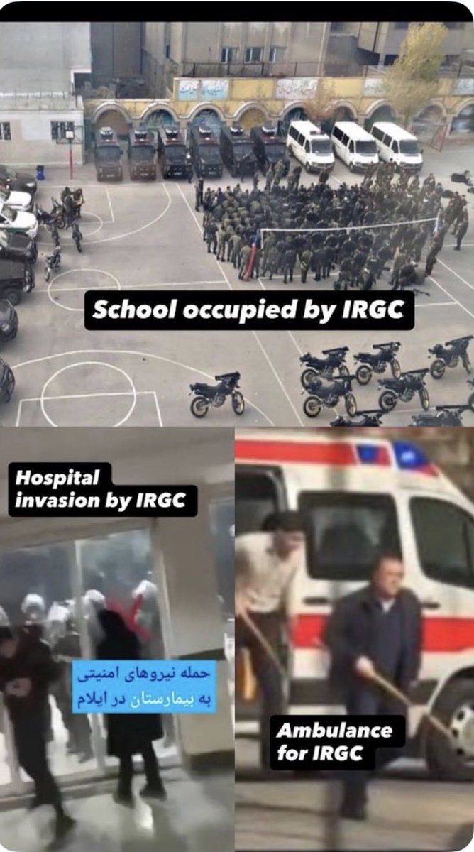 truthseeker tweet media