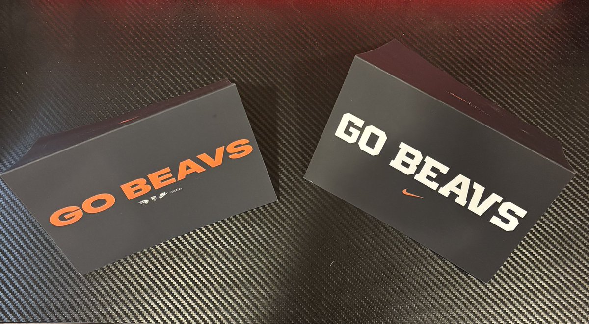 ZenBeav🦫 tweet media