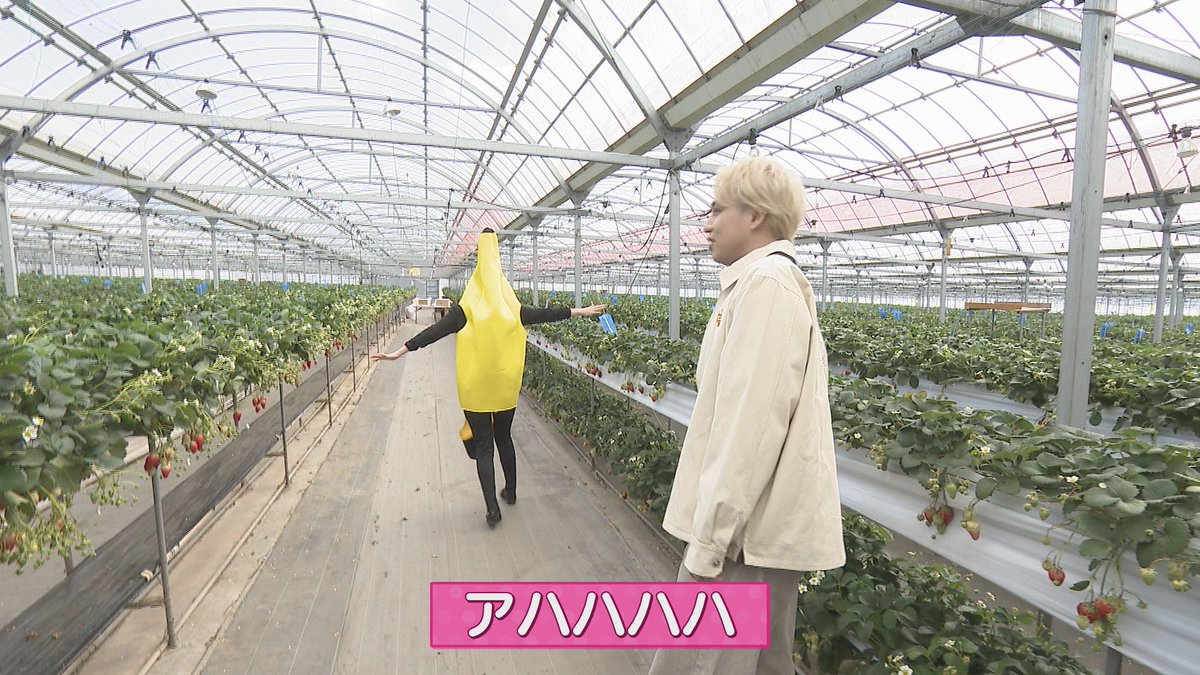 Soleいいね！(SBSテレビ) tweet media