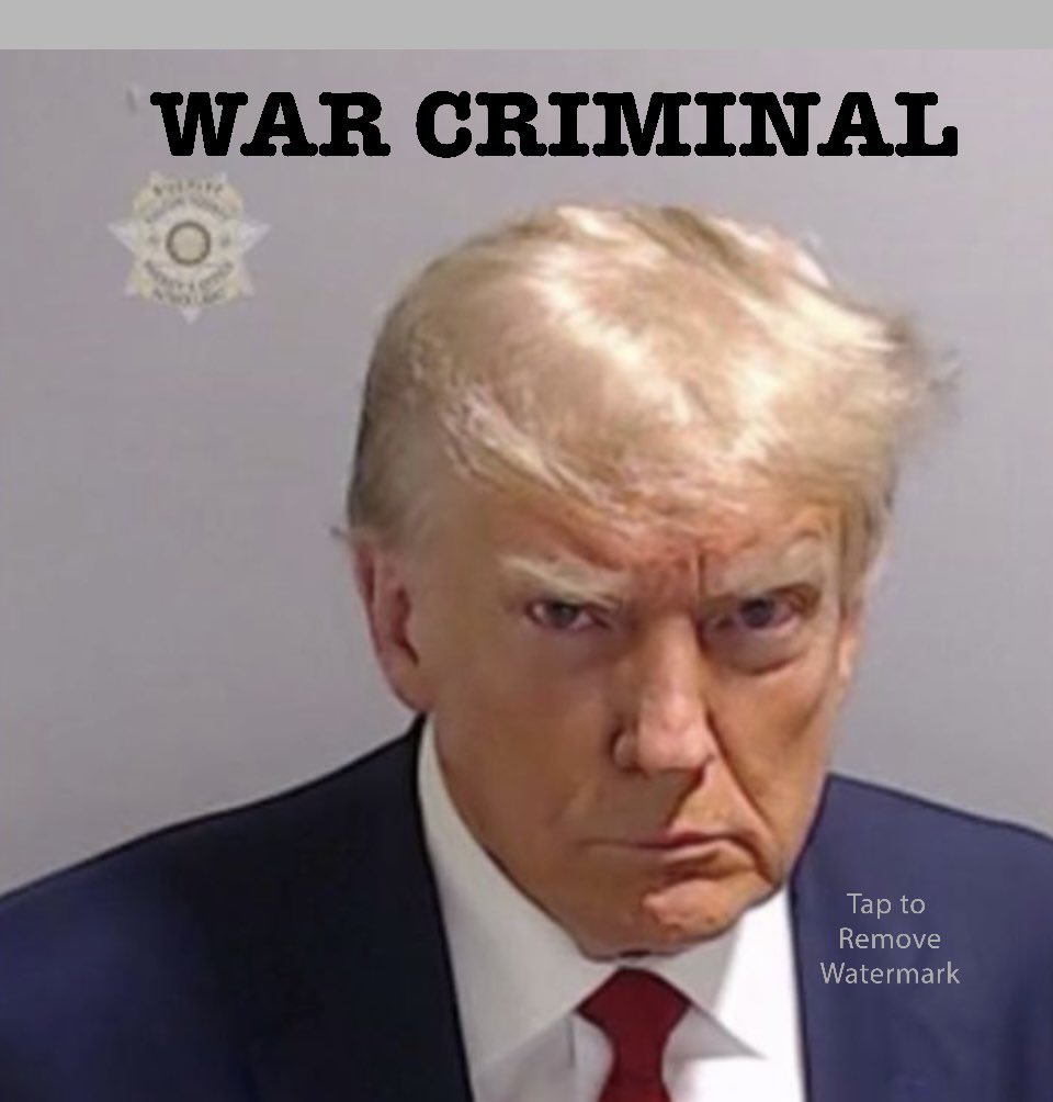 Alan Jacobson 🎉🍾🐈🏳️🌈🌹 tweet media