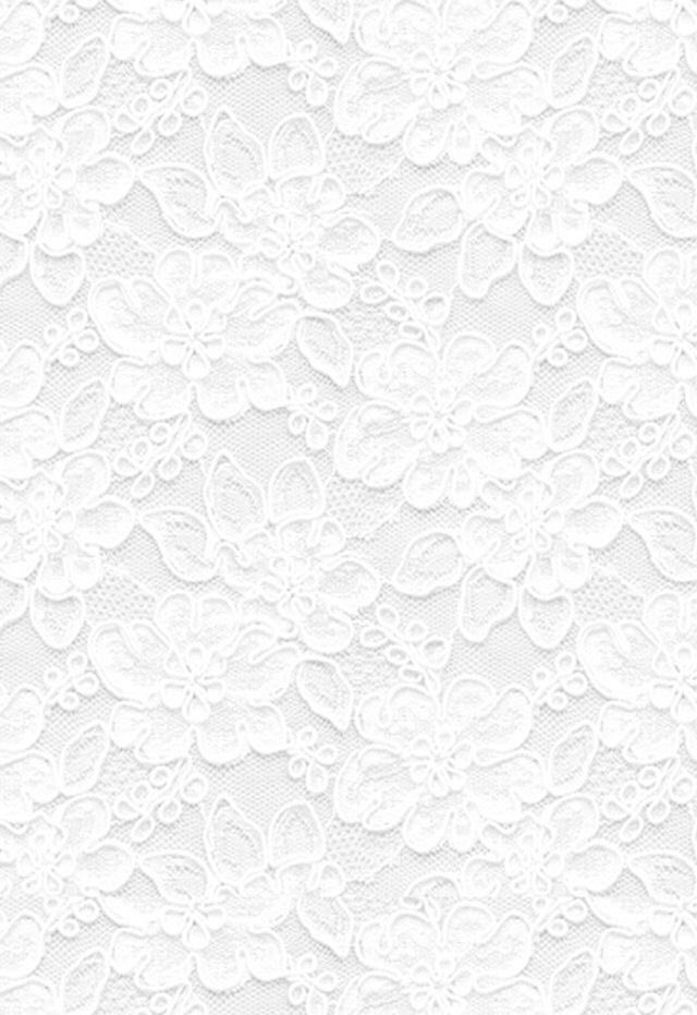 𝓜organa. tweet media