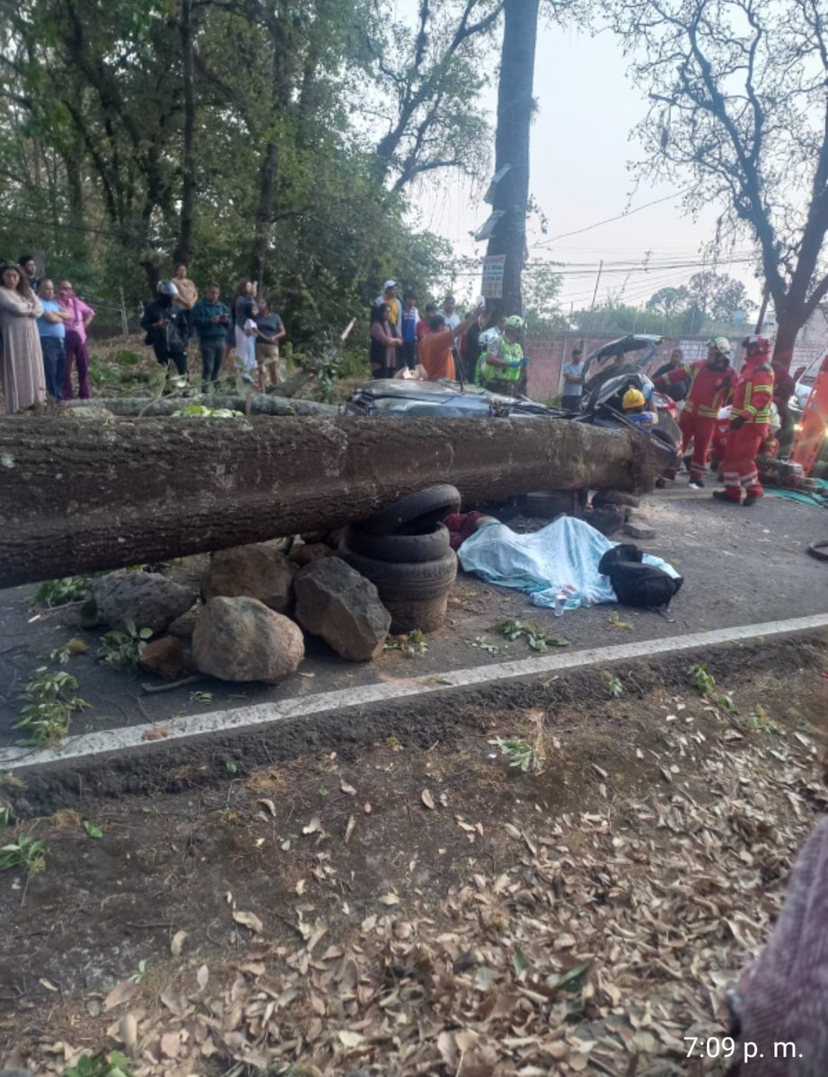 Tavo Ojeda✌ tweet media