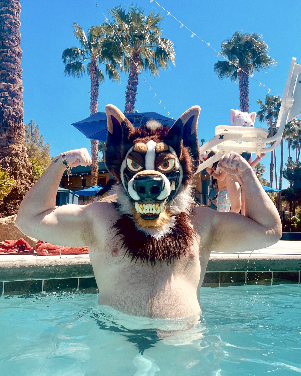 Cal 🐈 tweet media