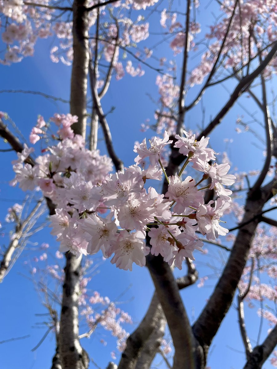 ariesoon tweet media