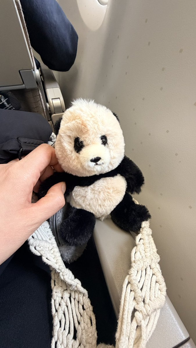 noricorea's tweet photo. 仁川 ターミナル2で買ったバオバオ  てかティンティン着いてんだけどwww   これが正常！？  誰か見つけたら検証して欲しい。。  カタティン🥺 https://t.co/MY9OuxxOyo