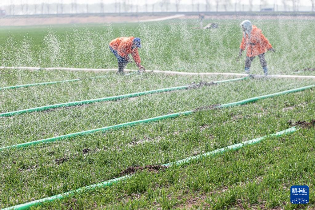 马健霖（互fo请私） tweet media