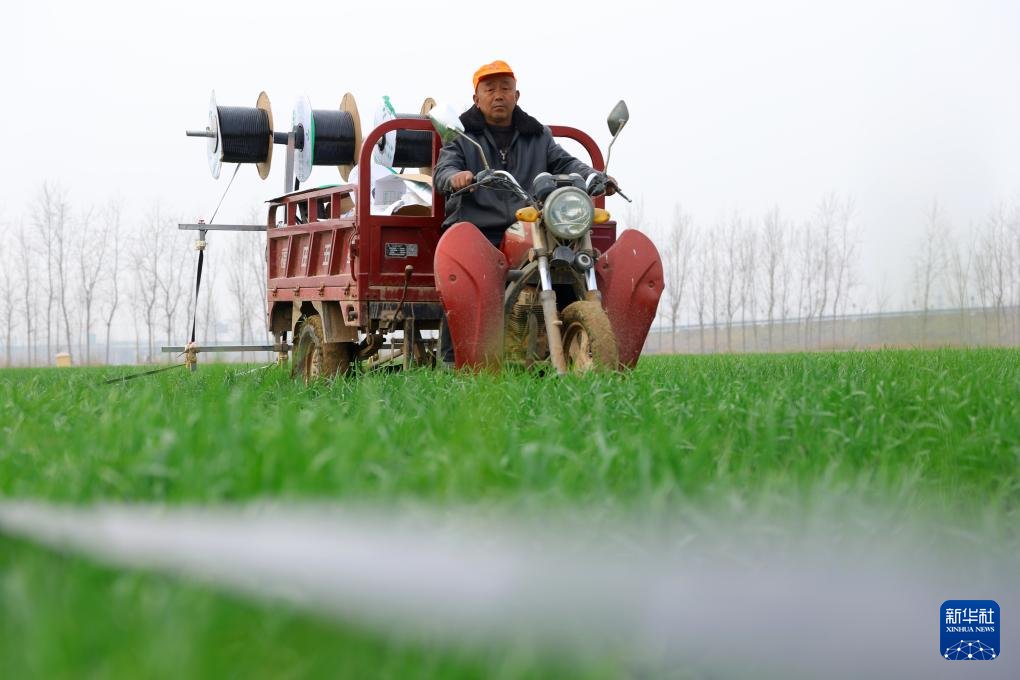 马健霖（互fo请私） tweet media