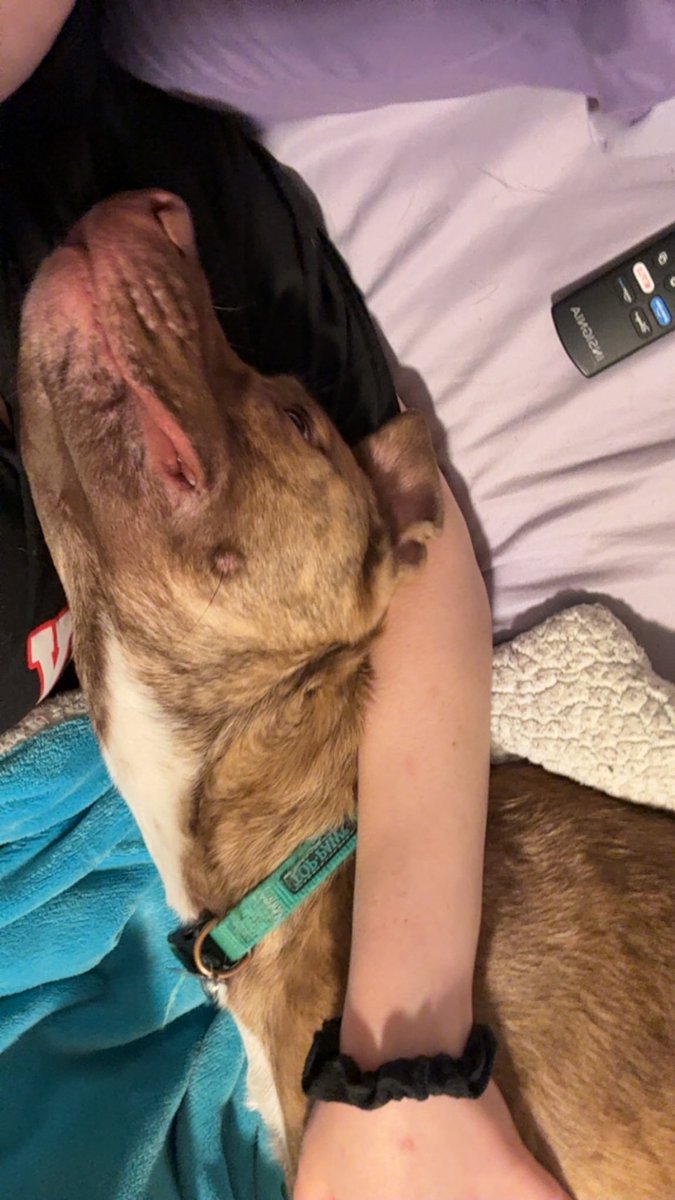 It’s these moments I live for every night.
Have an amazing night everyone see you all tomorrow night as we play some DbD with the gorgeous <a href="/DeaditeGrrrl/">Ash☾</a>  💕✨