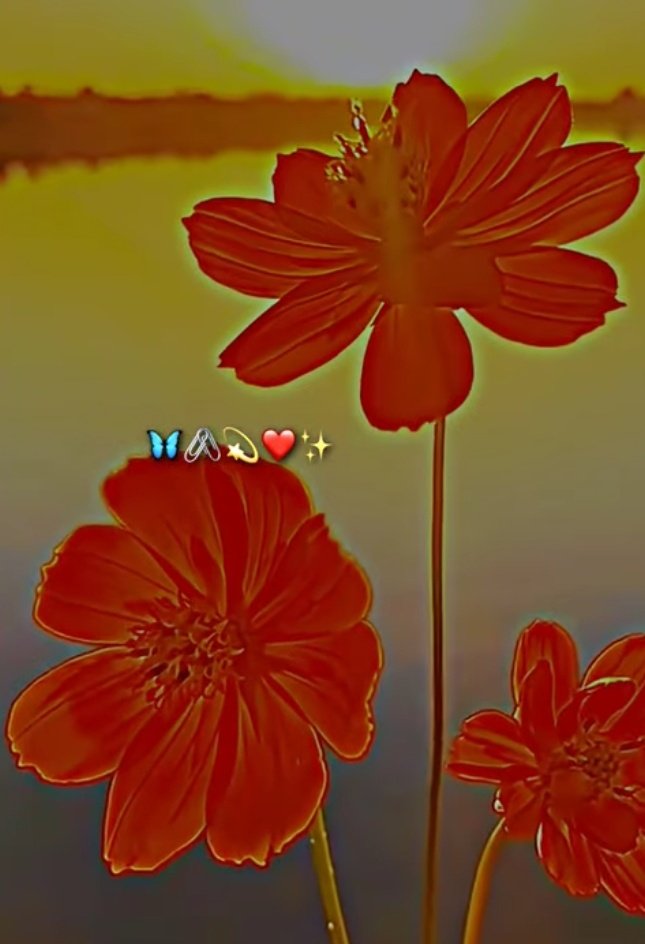 W🖤arda tweet media