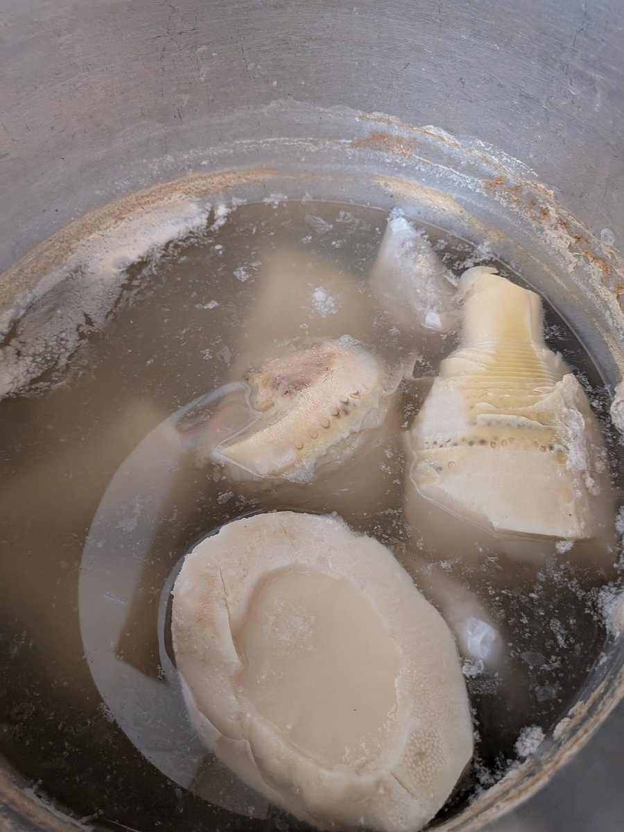 こまち tweet media