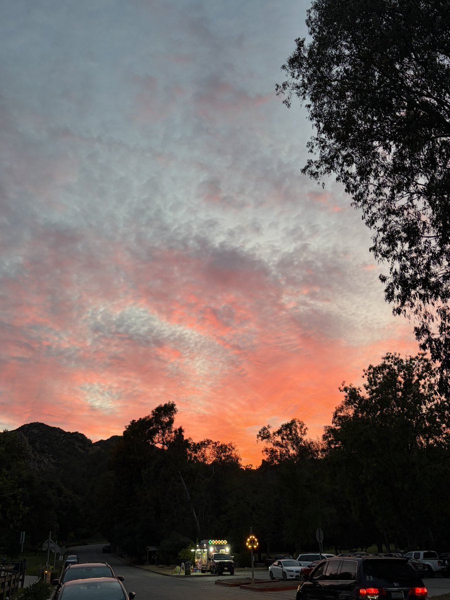 Mexican Rug Dealer tweet media