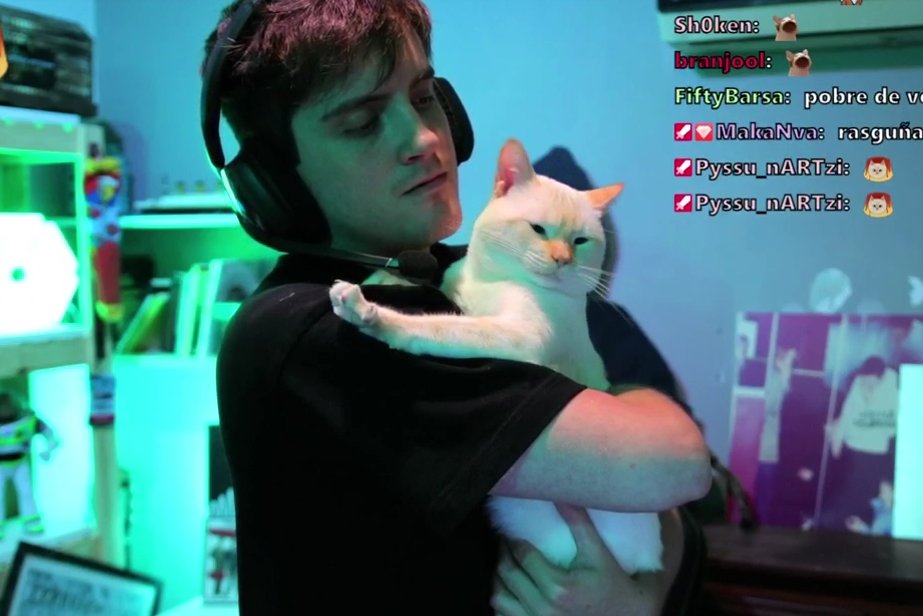 🧪 z𝘦𝘪𝘭 ’🩸 tweet media