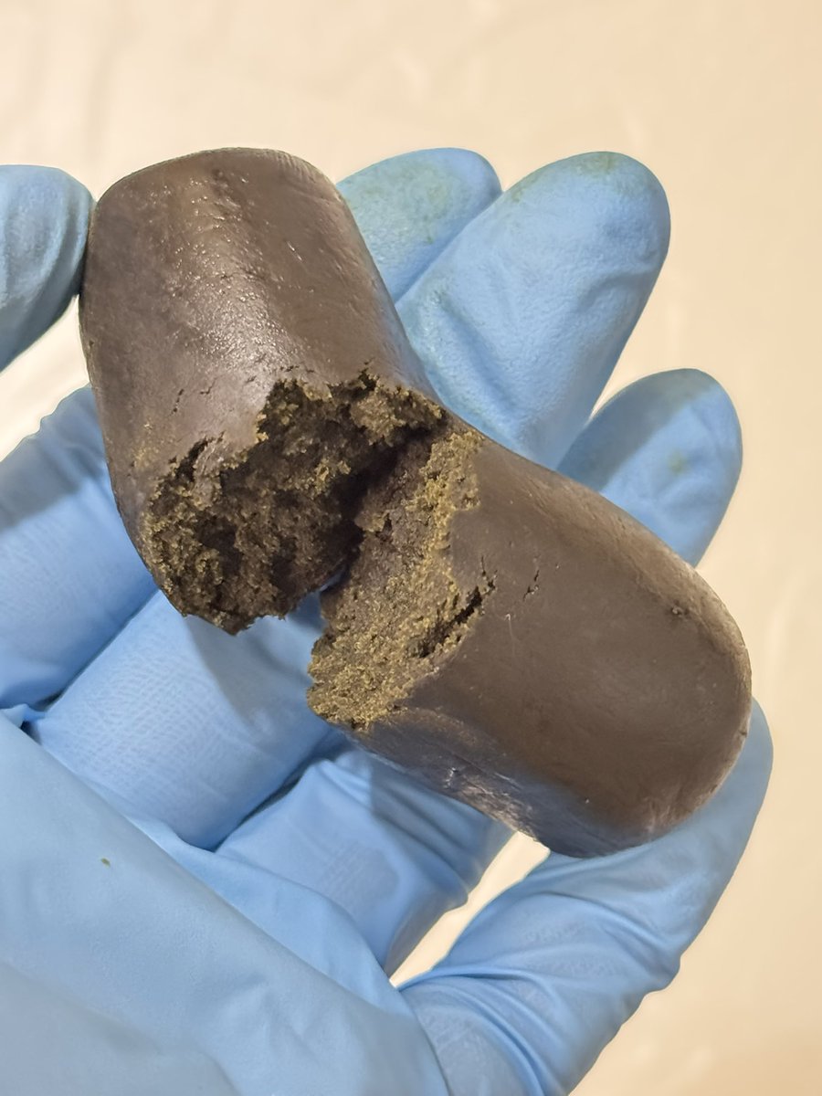 REGAL道場 tweet media