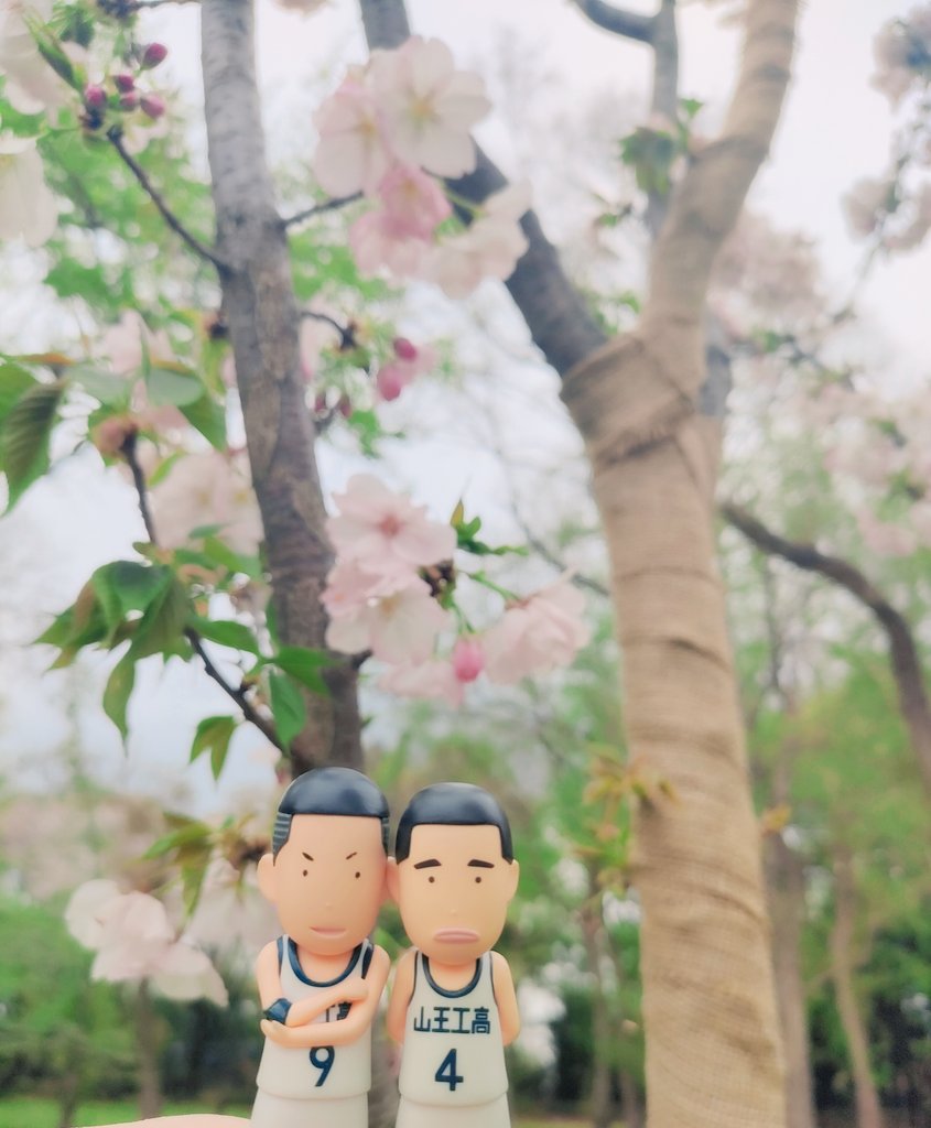 びすこ🍼 tweet media