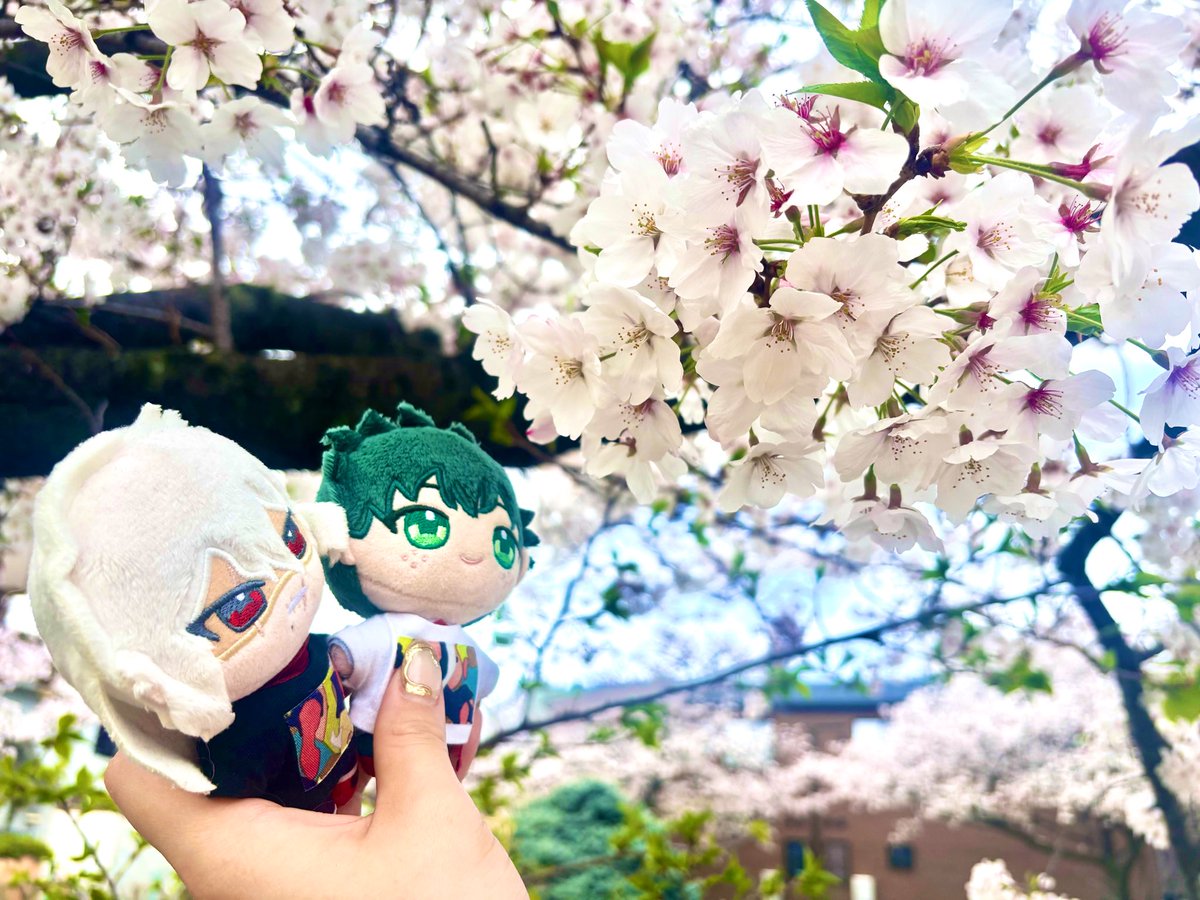 よなか tweet media