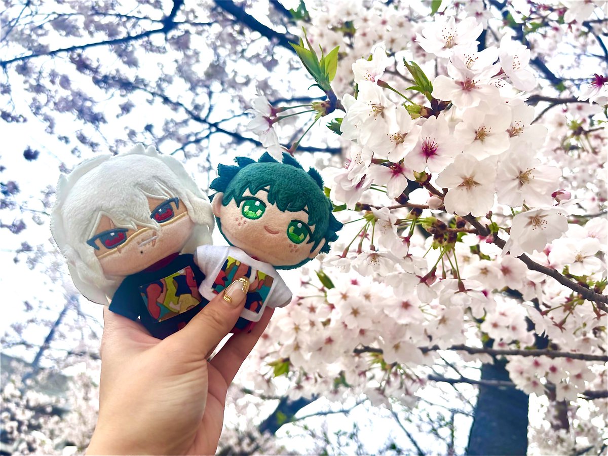 よなか tweet media