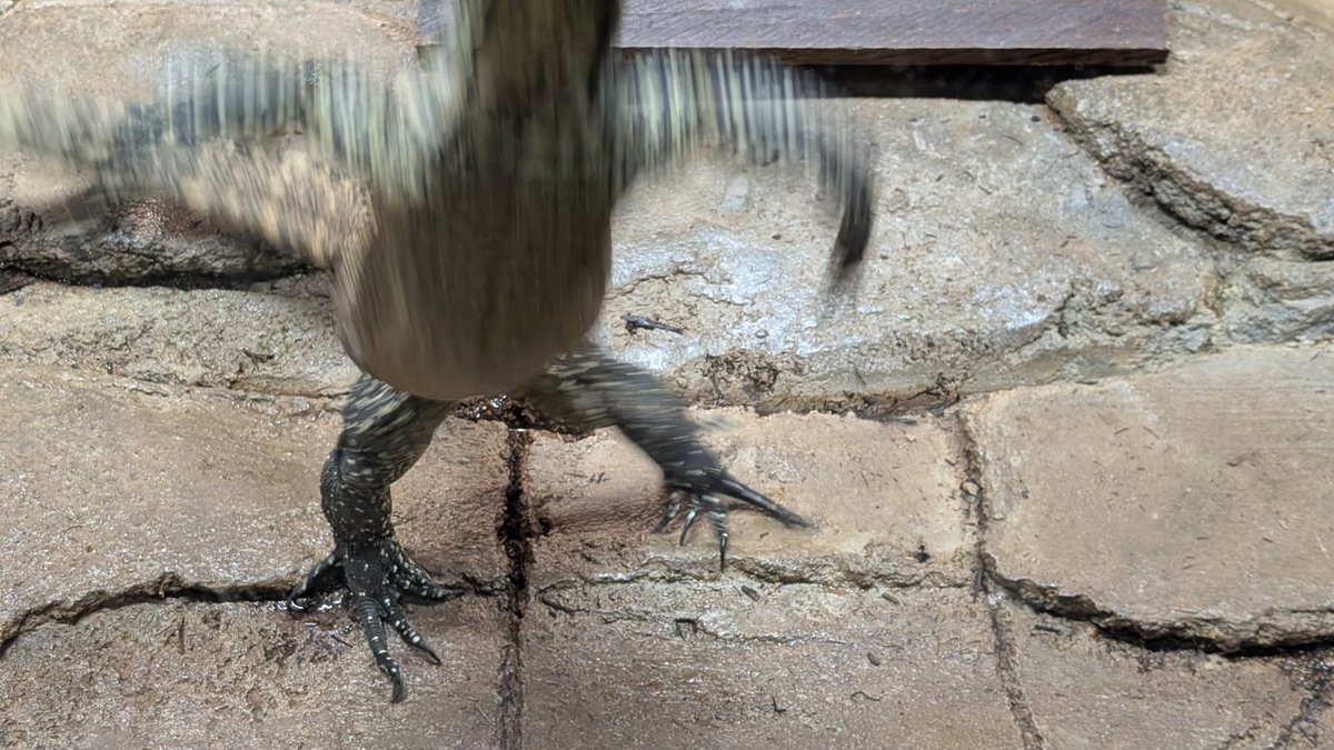 Revived Jme tweet media