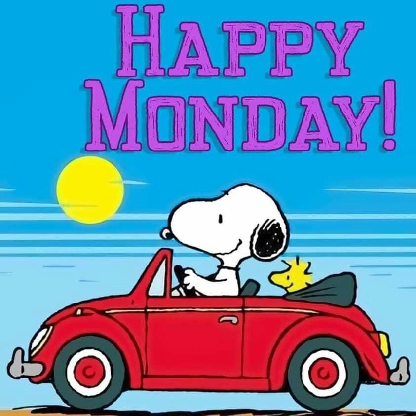 snoopy and friends tweet media