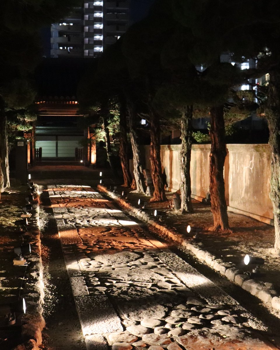 hakatalightup's tweet photo. 博多旧市街ライトアップウォーク2025振り返りpart14

妙典寺
【照明演出】
株式会社遠藤照明 https://t.co/9m5JEAKysx