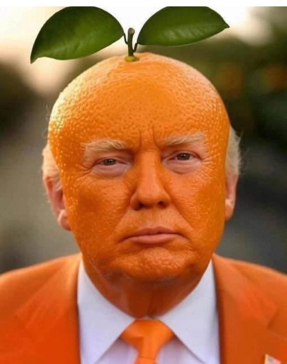 Manar Atef 🍒🦅 tweet media