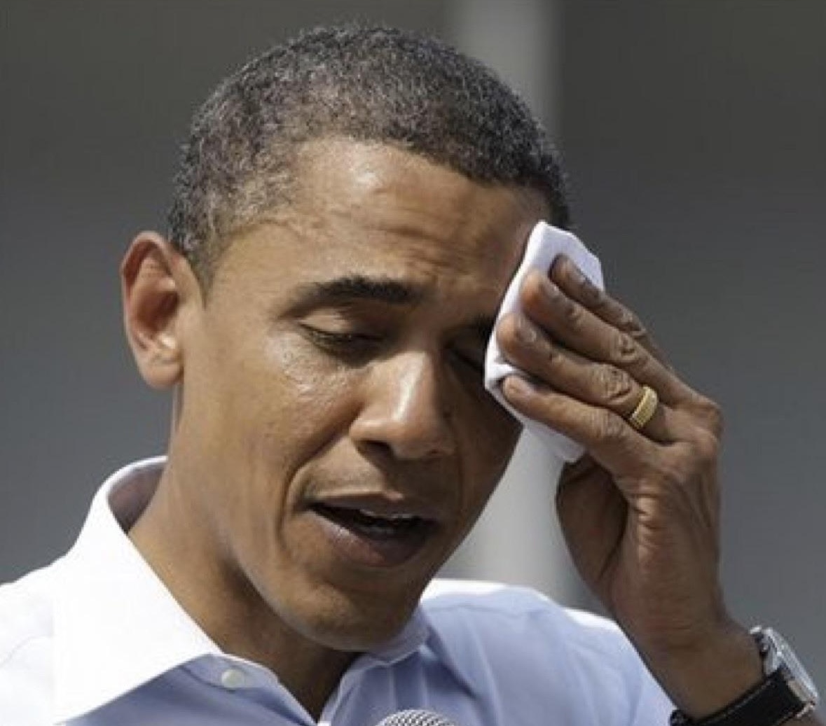 TapTools tweet media