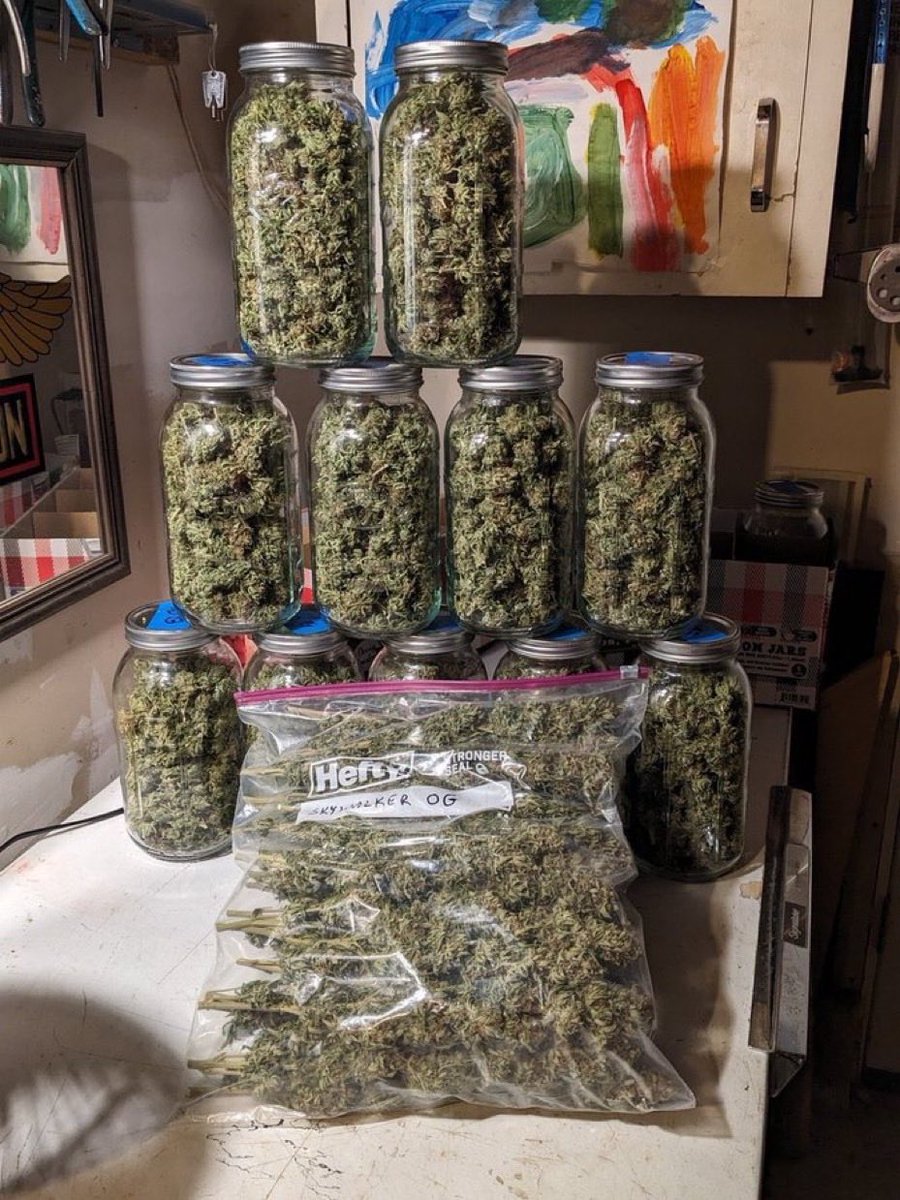 ELMER'S BUDD tweet media