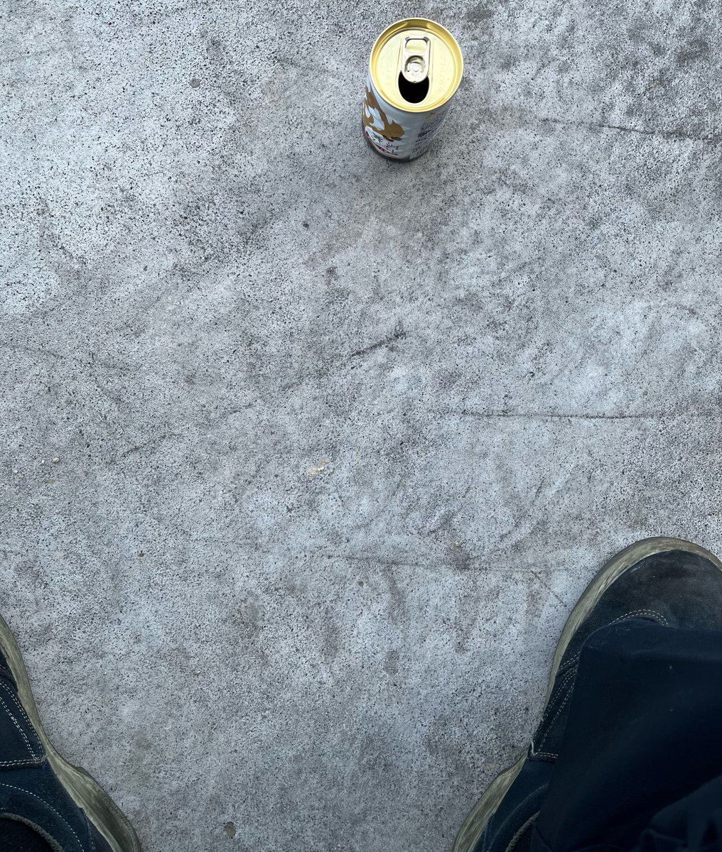 太陽と水と花と大地 tweet media