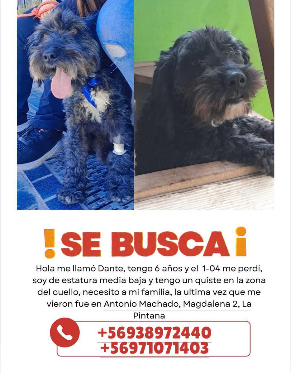 Eve Torres 🇨🇱 tweet media