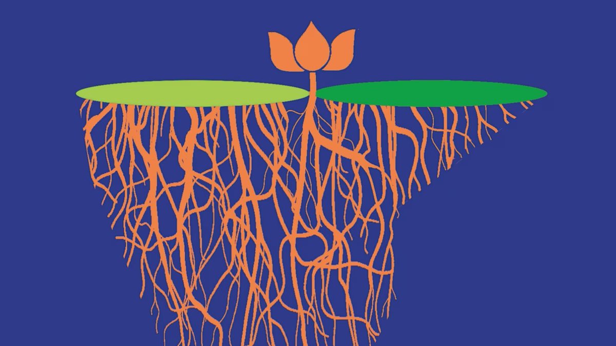 Bharatheeya Janata Party(BJP) was formed 46 years ago on his day with ambition “Andhera Chatega, Suraj Nikalega, aur Kamal Khilega” – “darkness will fade away, sun will rise and lotus shall bloom”
At 46, the Party’s ideologically rooted, organisationally solid and equipped with