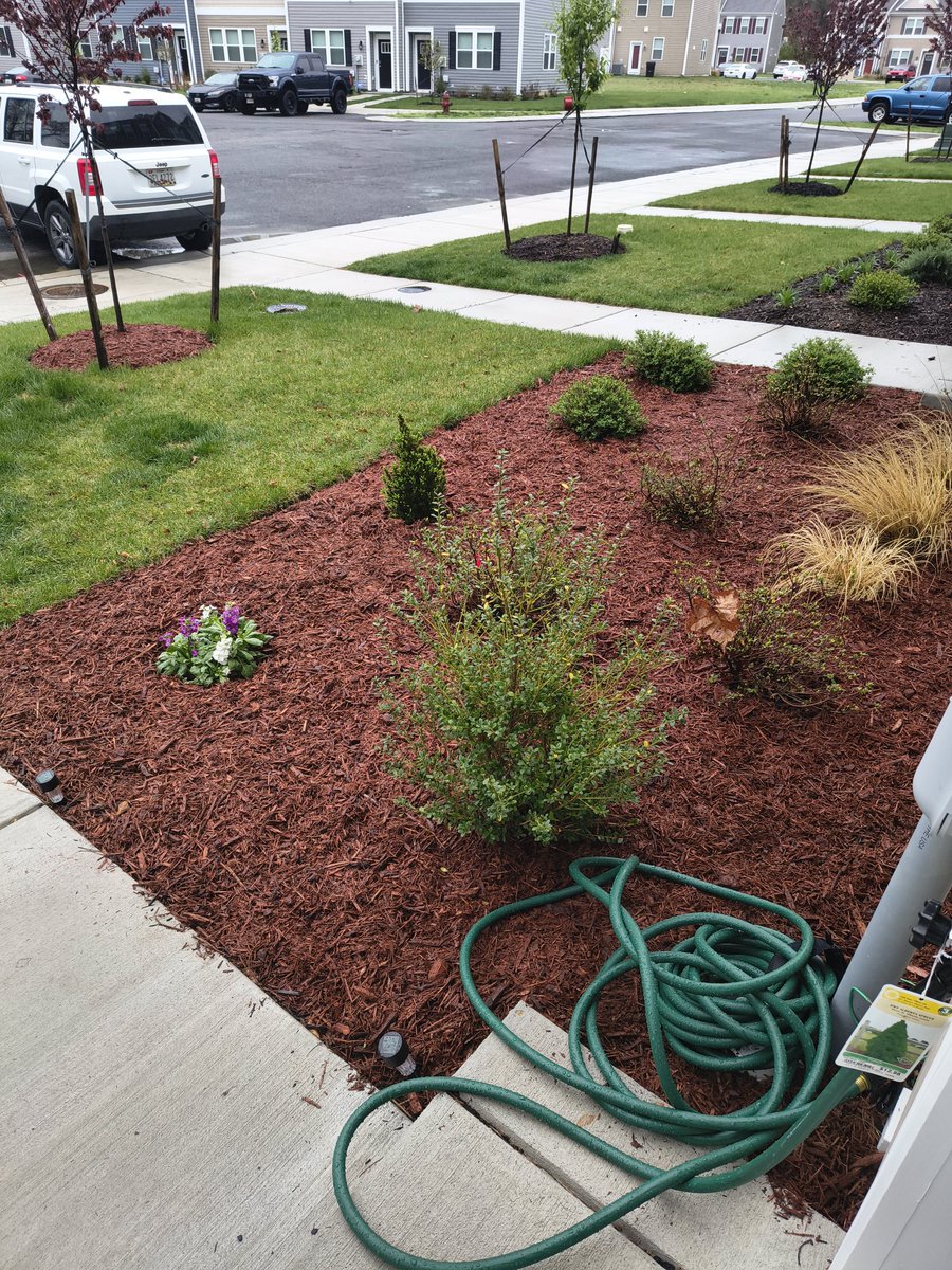 iTweetSunShyne's tweet photo. I just need a few more flowing plants and my flowerbed should be to my liking, but who the hell knows. I may add some garden deco, too. 🤷🏾‍♀️ https://t.co/lCnLSlfOU2