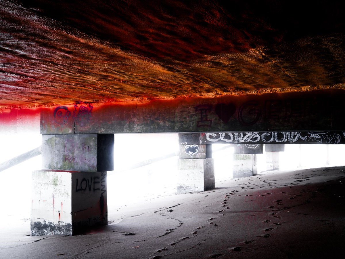 Milan Kolovrat tweet media