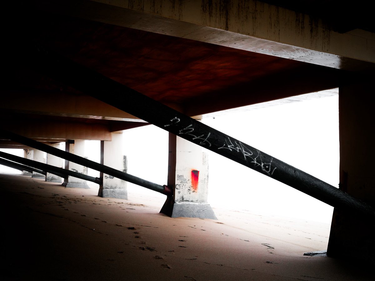 Milan Kolovrat tweet media