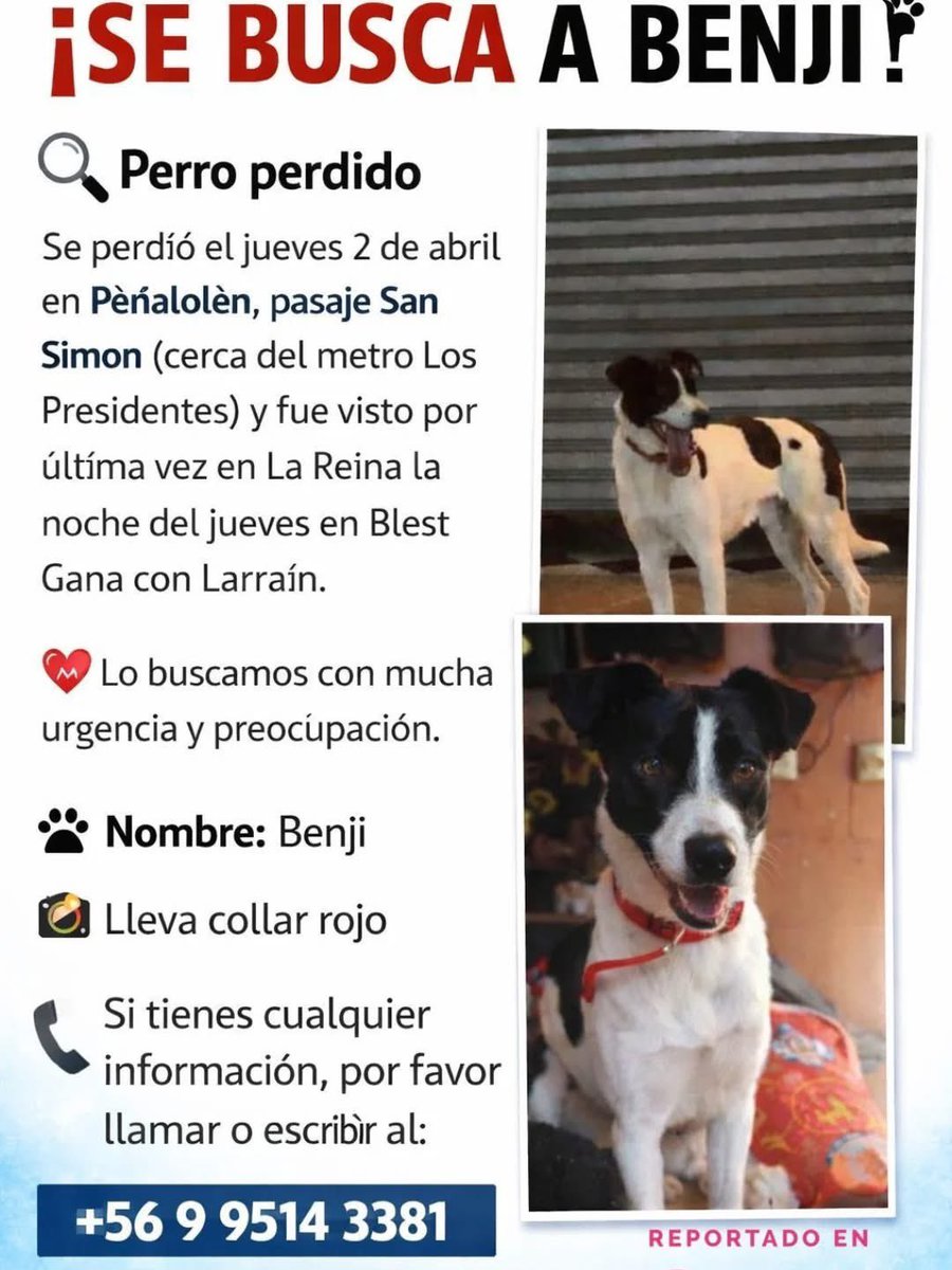 Eve Torres 🇨🇱 tweet media