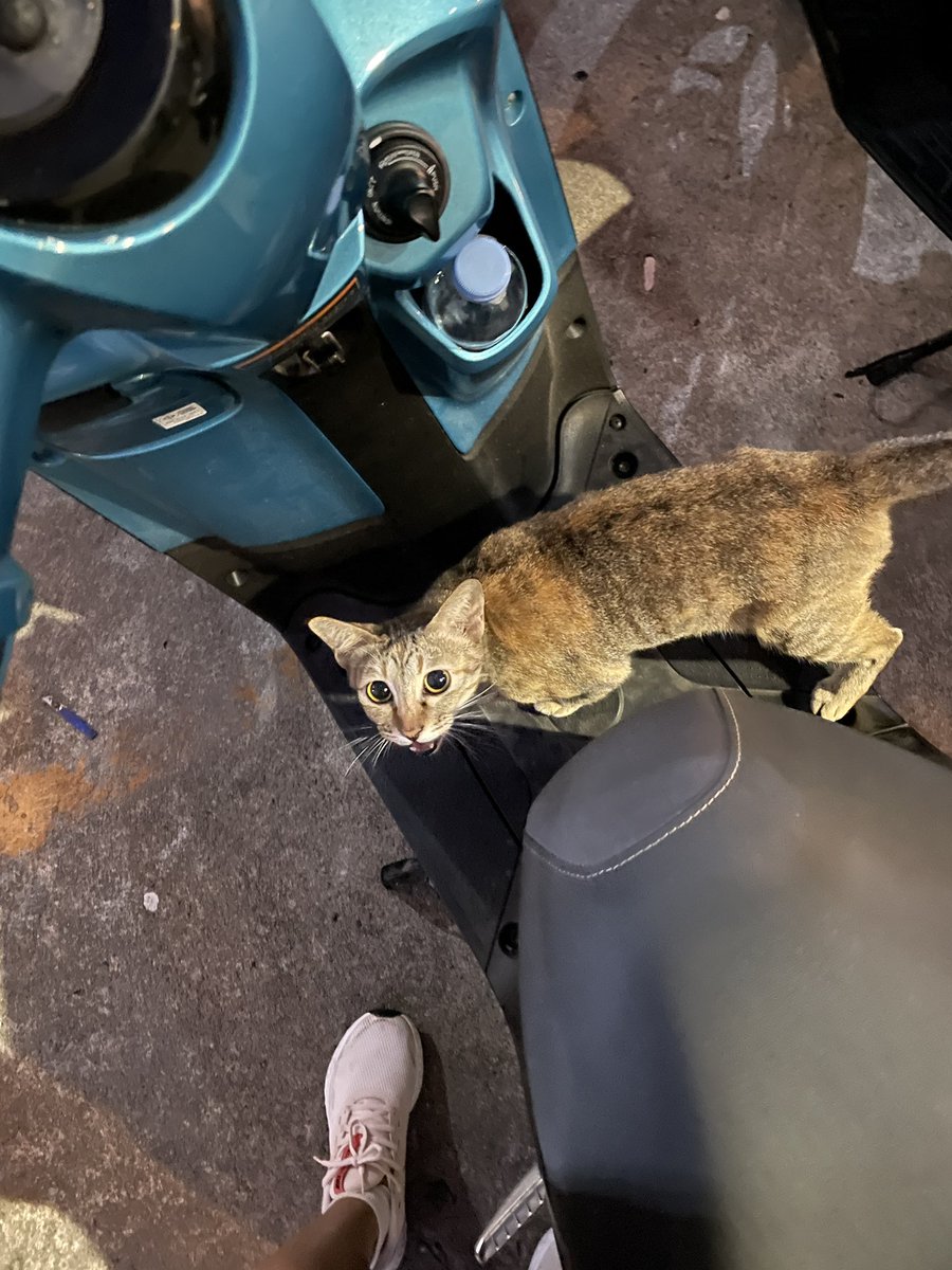 ไอเดียกรี๊ด tweet media