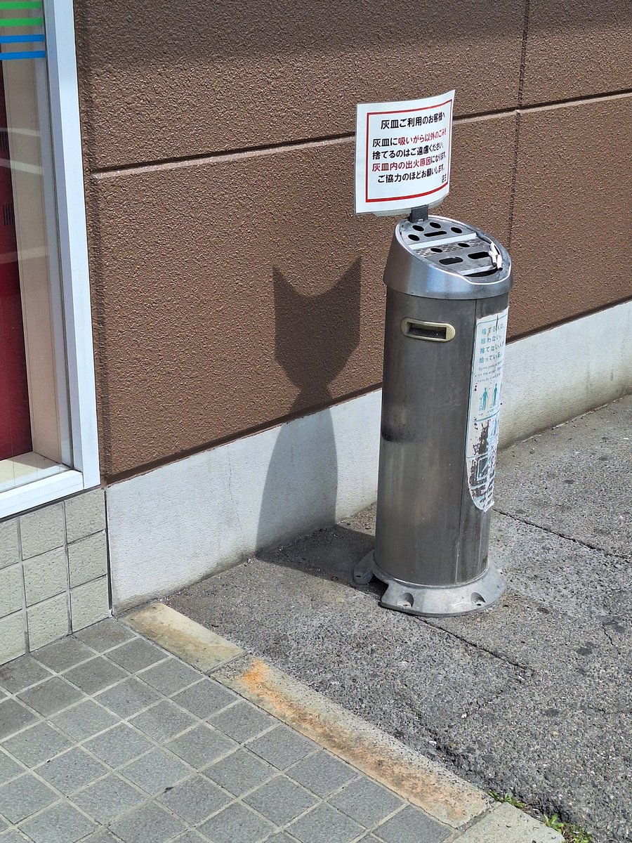 ねこ…？