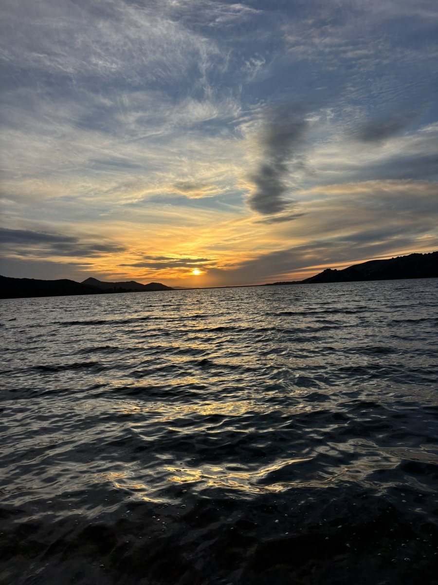 Reza Lemmel tweet media