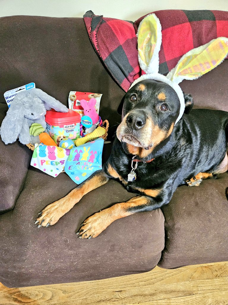 Adrienne & Rugie tweet media