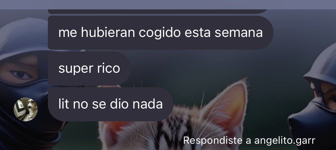 Birriaaaa tweet media