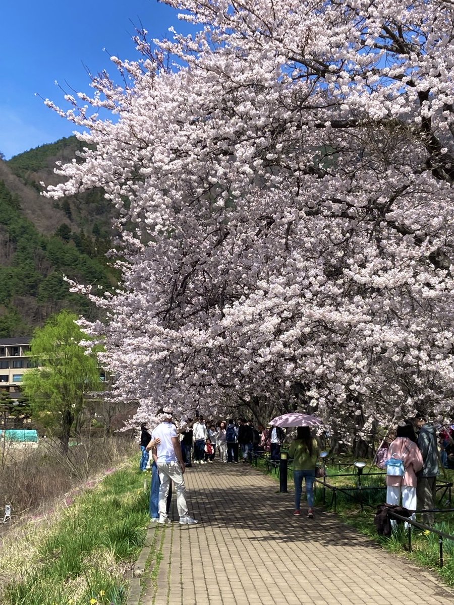 富士河口湖町観光情報【公式】 tweet media