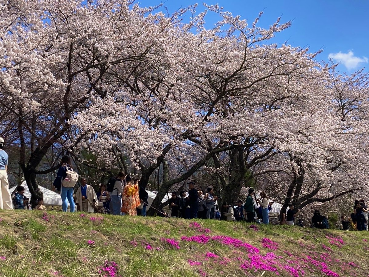富士河口湖町観光情報【公式】 tweet media